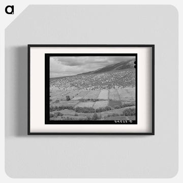 Rio Hondo Strip Farms
 - ラッセル リー Poster.