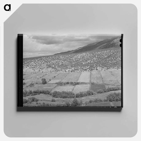 アートパネル-Rio Hondo Strip Farms
 - ラッセル リー Canvas.