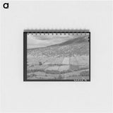 アートメモ帳-Rio Hondo Strip Farms
 - ラッセル リー Memo.