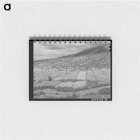 アートメモ帳-Rio Hondo Strip Farms
 - ラッセル リー Memo.