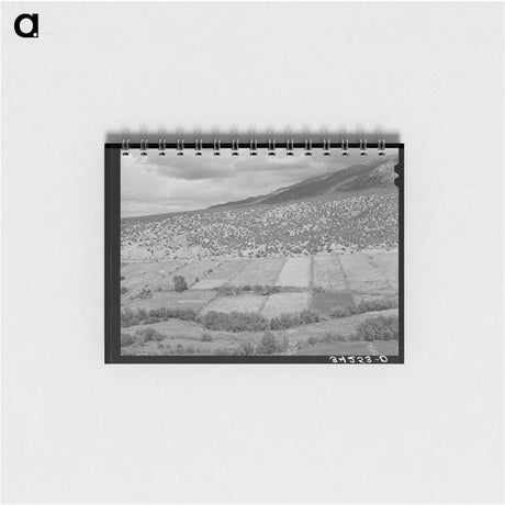 アートメモ帳-Rio Hondo Strip Farms
 - ラッセル リー Memo.