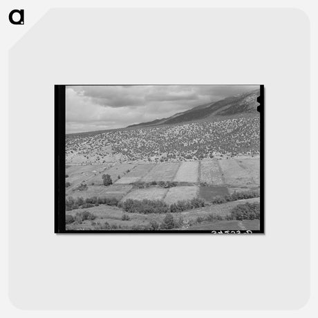 アートポストカード-Rio Hondo Strip Farms
 - ラッセル リー Postcard.