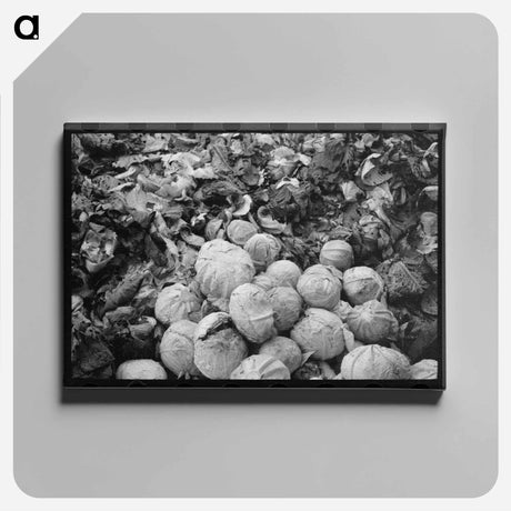 アートパネル-Cabbages and Leaves
 - ラッセル リー Canvas.