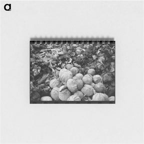 アートメモ帳-Cabbages and Leaves
 - ラッセル リー Memo.