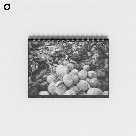 アートメモ帳-Cabbages and Leaves
 - ラッセル リー Memo.