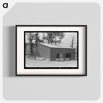 Chicken Coop, Sabine Farms
 - ラッセル リー Poster.