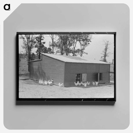 アートパネル-Chicken Coop, Sabine Farms
 - ラッセル リー Canvas.