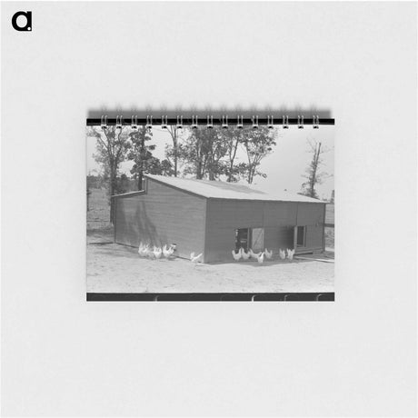 アートメモ帳-Chicken Coop, Sabine Farms
 - ラッセル リー Memo.