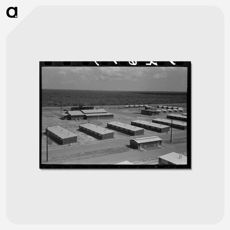 アートポストカード-Migratory Labor Camp
 - ラッセル リー Postcard.