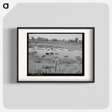 Hog Pen and City Dump
 - ラッセル リー Poster.