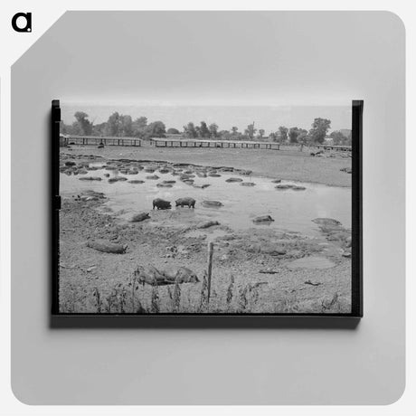 アートパネル-Hog Pen and City Dump
 - ラッセル リー Canvas.