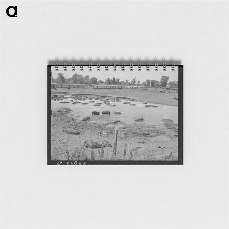 アートメモ帳-Hog Pen and City Dump
 - ラッセル リー Memo.