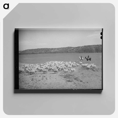 アートパネル-Shearing Goats, Kimble County
 - ラッセル リー Canvas.