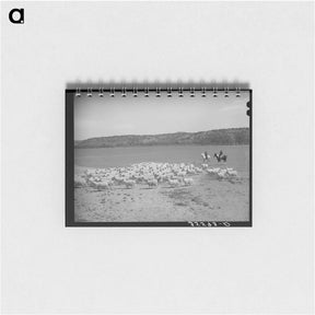 アートメモ帳-Shearing Goats, Kimble County
 - ラッセル リー Memo.