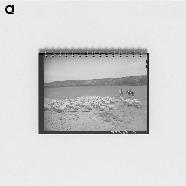 アートメモ帳-Shearing Goats, Kimble County
 - ラッセル リー Memo.