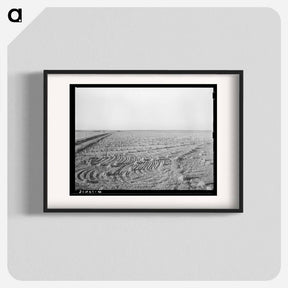 アートポスター-Rice Field near Crowley
 - ラッセル リー Poster.