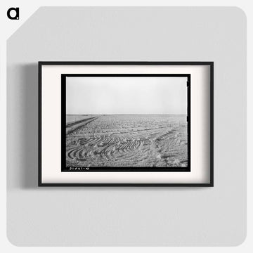 Rice Field near Crowley
 - ラッセル リー Poster.