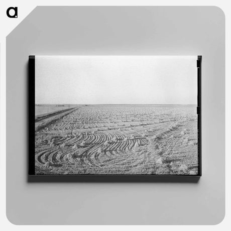 アートパネル-Rice Field near Crowley
 - ラッセル リー Canvas.