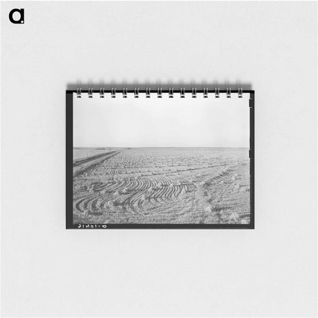 アートメモ帳-Rice Field near Crowley
 - ラッセル リー Memo.