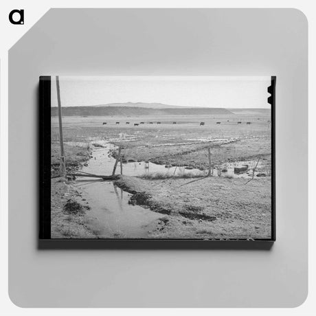 アートパネル-Little Colorado Irrigation
 - ラッセル リー Canvas.