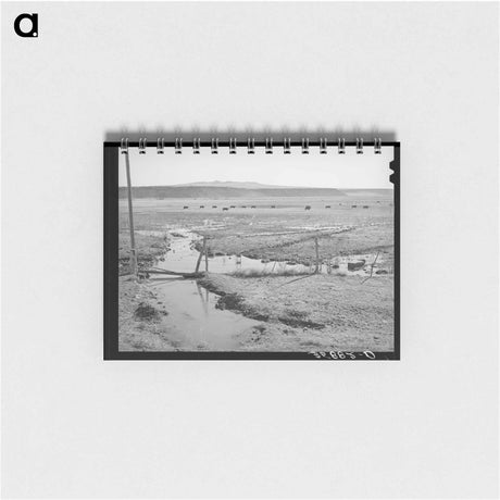 アートメモ帳-Little Colorado Irrigation
 - ラッセル リー Memo.