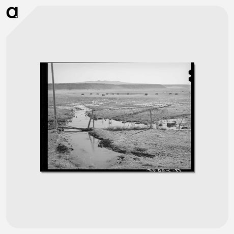 アートポストカード-Little Colorado Irrigation
 - ラッセル リー Postcard.