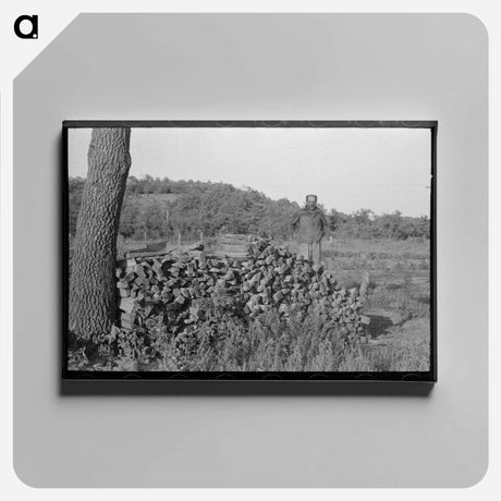 アートパネル-Stove Wood, McIntosh County
 - ラッセル リー Canvas.