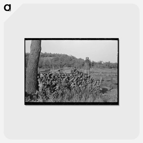 アートポストカード-Stove Wood, McIntosh County
 - ラッセル リー Postcard.