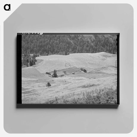 アートパネル-Farmstead, Idaho County
 - ラッセル リー Canvas.