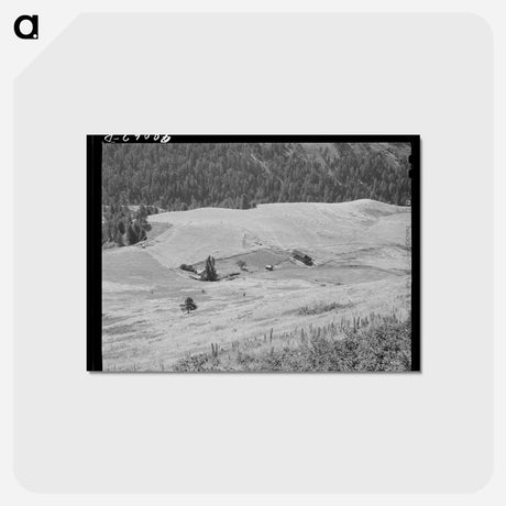 アートポストカード-Farmstead, Idaho County
 - ラッセル リー Postcard.