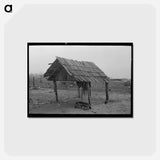 アートポストカード-Sharecropper's Shelter
 - ラッセル リー Postcard.