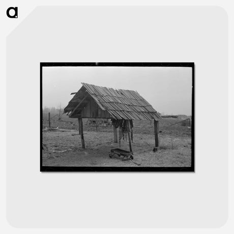 アートポストカード-Sharecropper's Shelter
 - ラッセル リー Postcard.