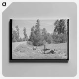 アートパネル-Highway Accident Marker
 - ラッセル リー Canvas.