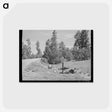 アートポストカード-Highway Accident Marker
 - ラッセル リー Postcard.