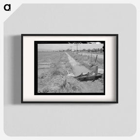 アートポスター-Irrigation Ditch, Solomonsville
 - ラッセル リー Poster.