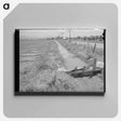 アートパネル-Irrigation Ditch, Solomonsville
 - ラッセル リー Canvas.