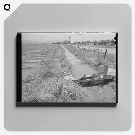 アートパネル-Irrigation Ditch, Solomonsville
 - ラッセル リー Canvas.