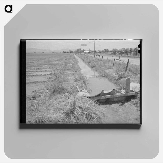アートパネル-Irrigation Ditch, Solomonsville
 - ラッセル リー Canvas.