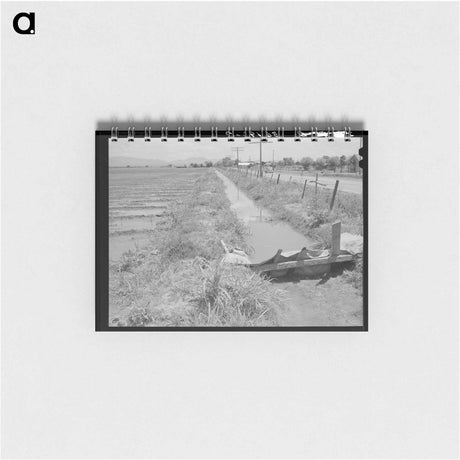アートメモ帳-Irrigation Ditch, Solomonsville
 - ラッセル リー Memo.