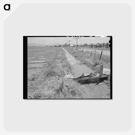 アートポストカード-Irrigation Ditch, Solomonsville
 - ラッセル リー Postcard.