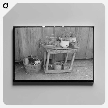 アートパネル-Backyard San Antonio
 - ラッセル リー Canvas.
