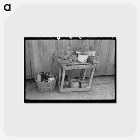 アートポストカード-Backyard San Antonio
 - ラッセル リー Postcard.