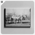 アートパネル-Mules. Creek County, Oklahoma
 - ラッセル リー Canvas.