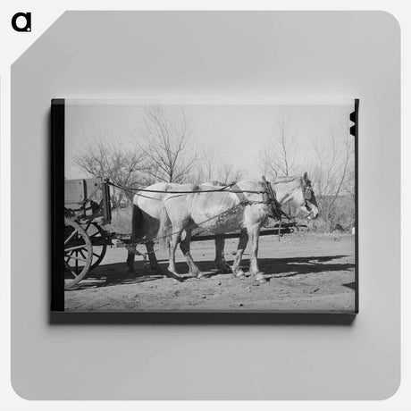 アートパネル-Mules. Creek County, Oklahoma
 - ラッセル リー Canvas.