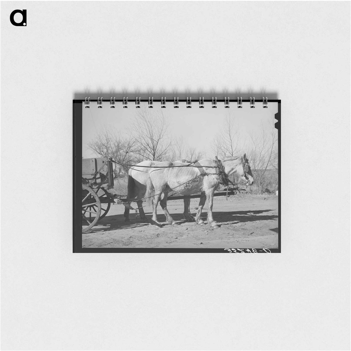 アートメモ帳-Mules. Creek County, Oklahoma
 - ラッセル リー Memo.