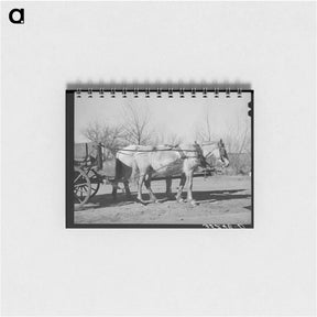 アートメモ帳-Mules. Creek County, Oklahoma
 - ラッセル リー Memo.