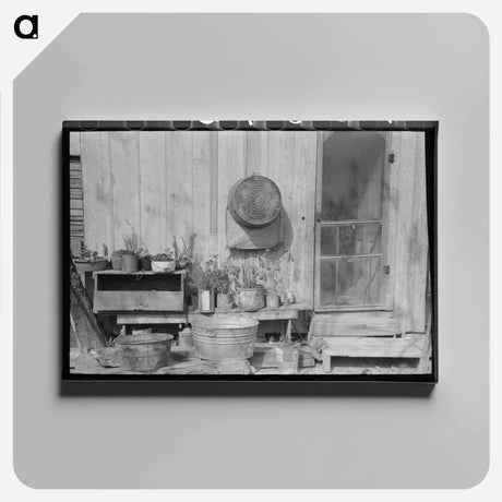 アートパネル-Backyard San Antonio
 - ラッセル リー Canvas.