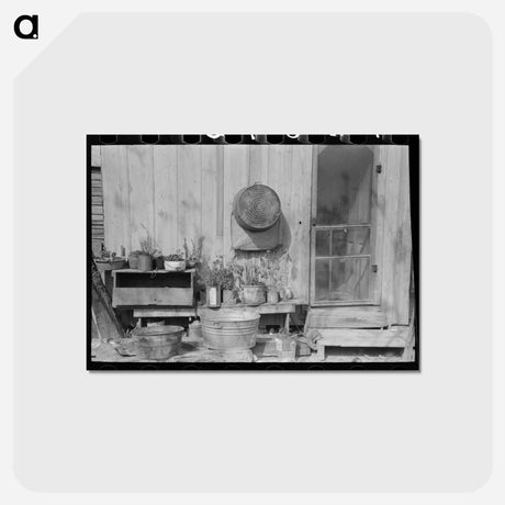 アートポストカード-Backyard San Antonio
 - ラッセル リー Postcard.