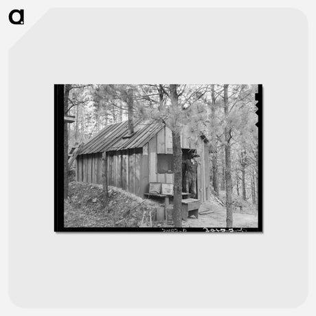 アートポストカード-Shack of Old Gold Prospector
 - ラッセル リー Postcard.