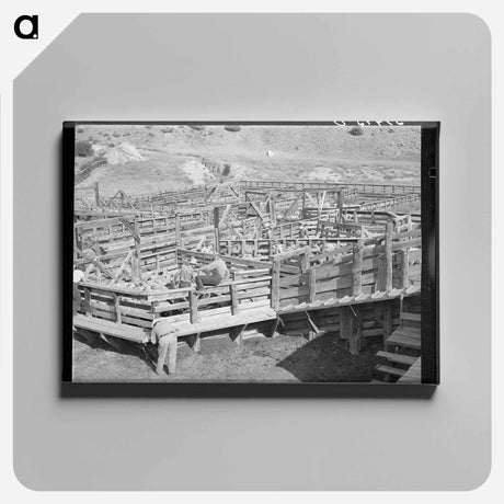 アートパネル-Fat Lambs, Cimarron
 - ラッセル リー Canvas.